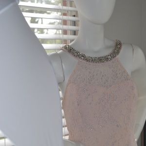 Junior Plus Size Blush Pink Gown